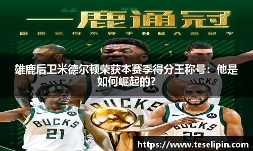NG娱乐